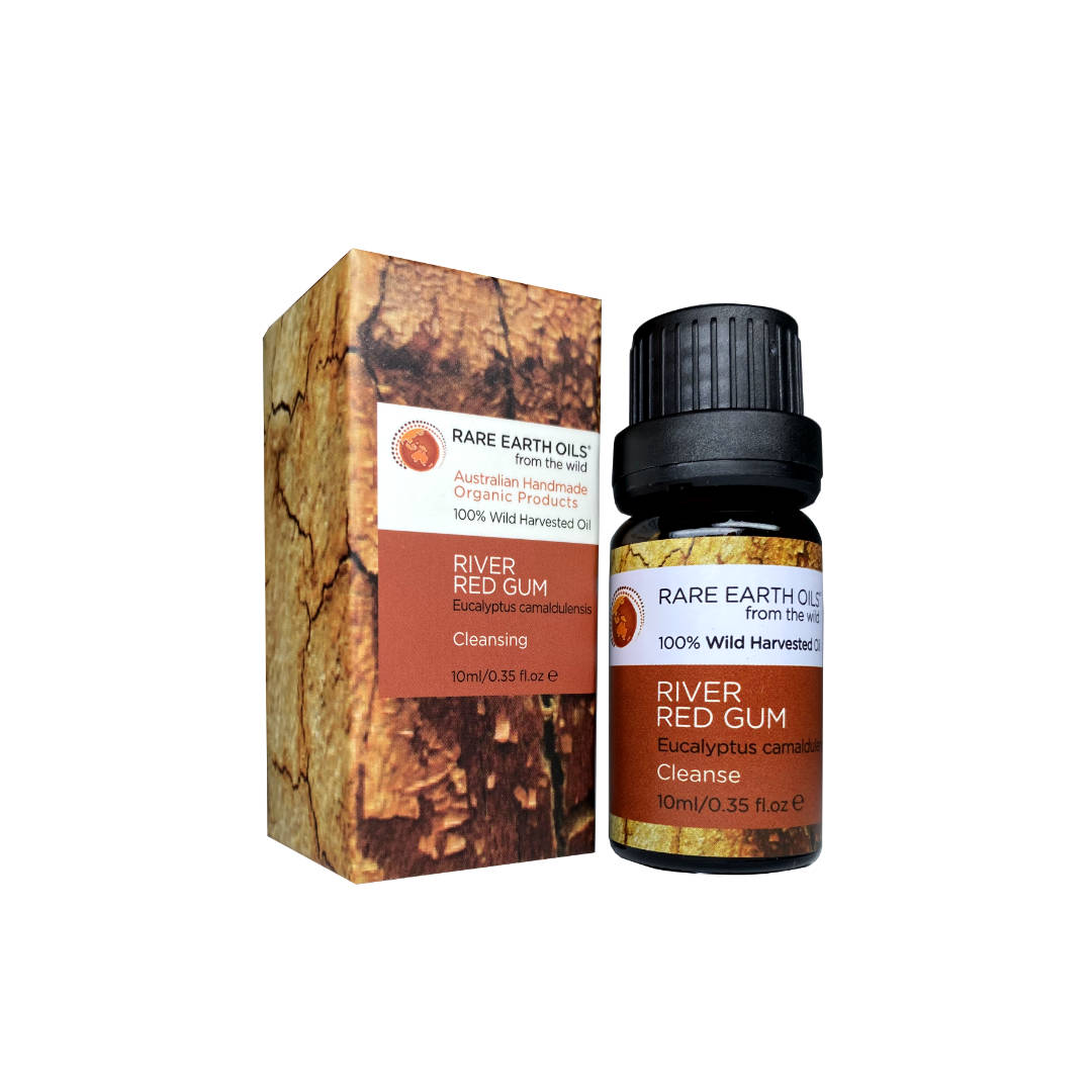 River Red Gum Eucalyptus