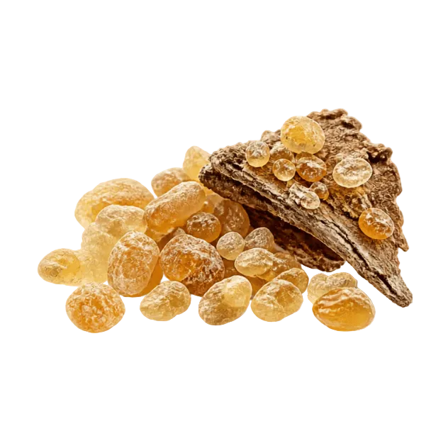 A pile of translucent amber-yellow resin droplets and a textured brown bark piece on a white-and-light-gray checkered background.
