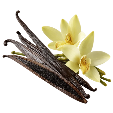 Vanilla beans and pale yellow vanilla orchid flowers on a white background with a subtle checkerboard transparency pattern.