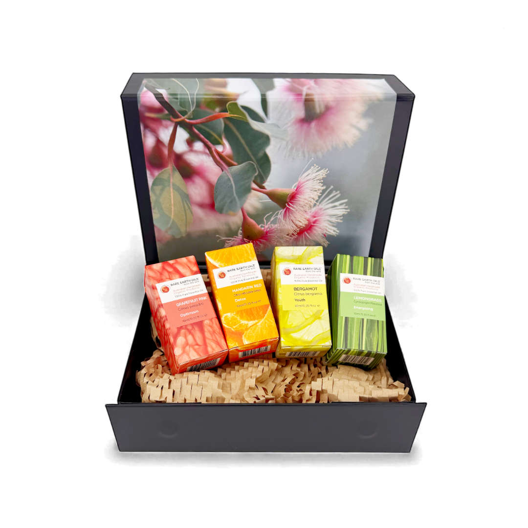 Zest Effect Pack