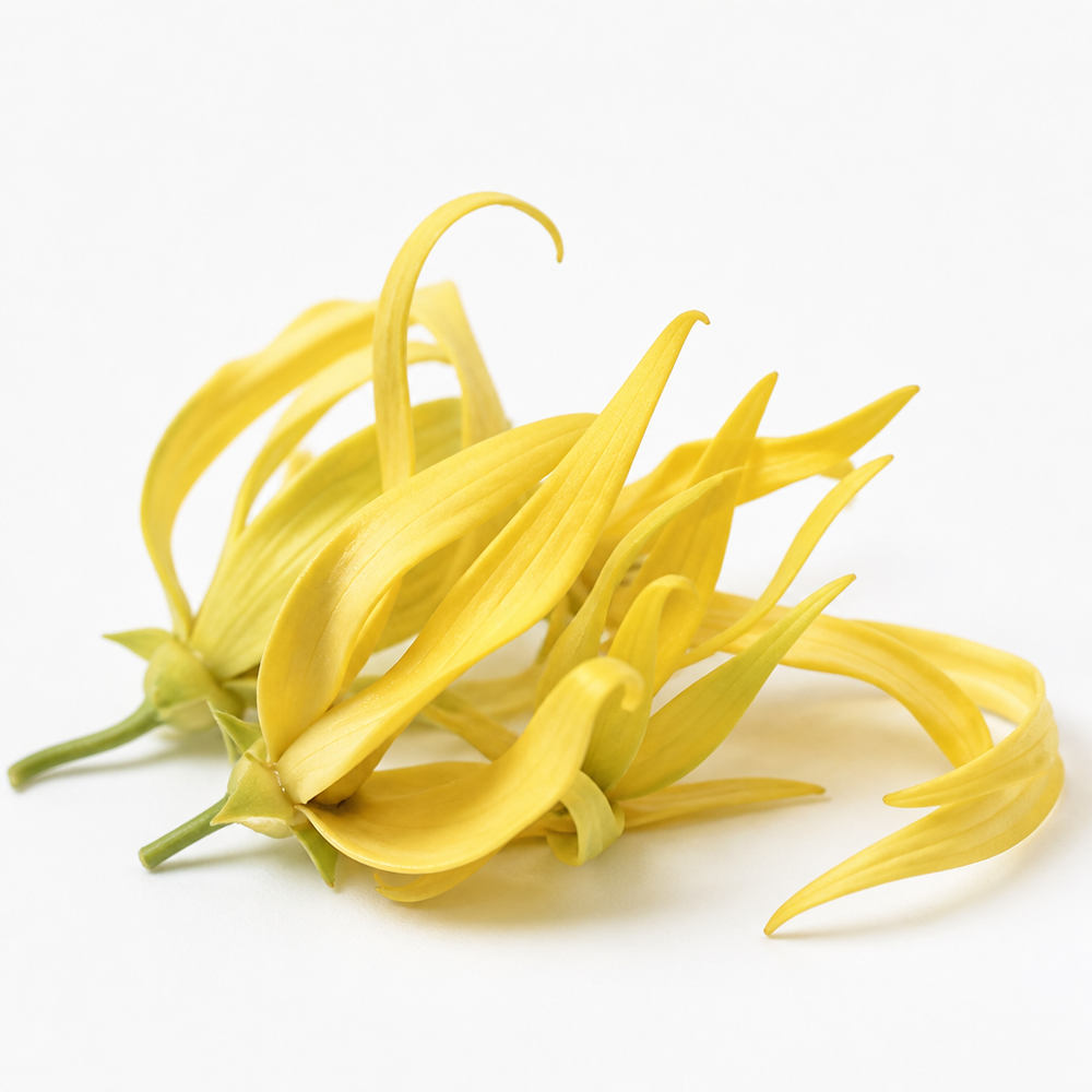 SS - Product ingredien AI Image 6